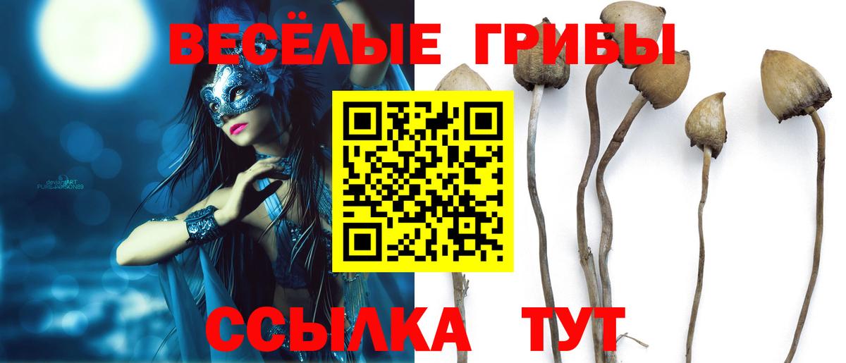 Псилоцибиновые грибы Magic Shrooms Мурманск